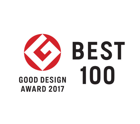 グッドトイやグッドデザイン賞など数々の賞を受賞